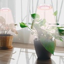 gooingtop-led-grow-light-halo-plant-lamp-3.jpg
