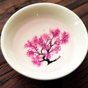 magic-sakura-cherry-blossom-sake-cup---2-4.jpg