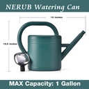 watering-can-1-gallon-for-indoor-plants--6.jpg