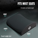 samsonite-ergonomic-lumbar-support-pillo-2.jpg