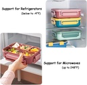4-compartment-bento-lunch-box-with-table-4.jpg