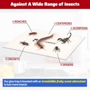 lulucatch-cricket-insect-glue-traps---6--4.jpg