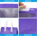 patikil-insulated-take-away-bags-35-pcs--4.jpg