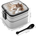 bento-lunch-box-for-women-lunch-containe-2.jpg