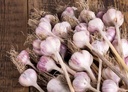 5-pack-of-fresh-purple-garlic-bulb---gre-3.jpg