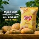 lays-salt-vinegar-flavored-potato-chips--5.jpg