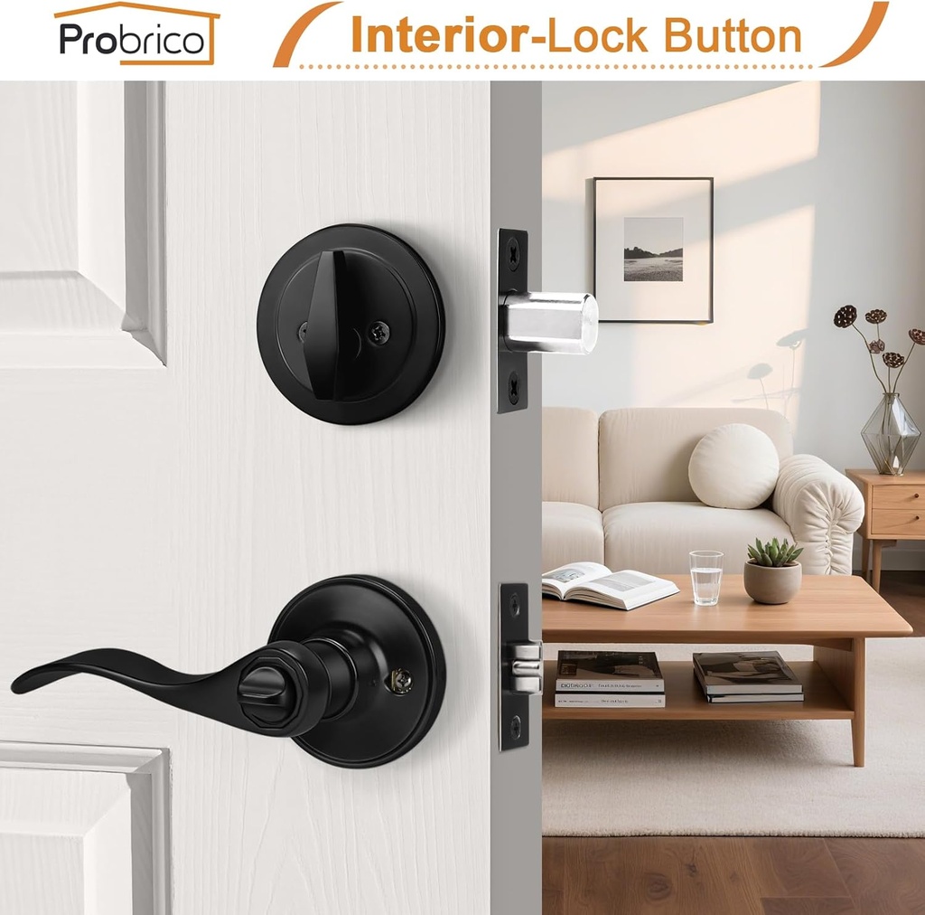 probrico-front-door-handle-and-single-cy-2.jpg