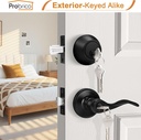 probrico-front-door-handle-and-single-cy-3.jpg