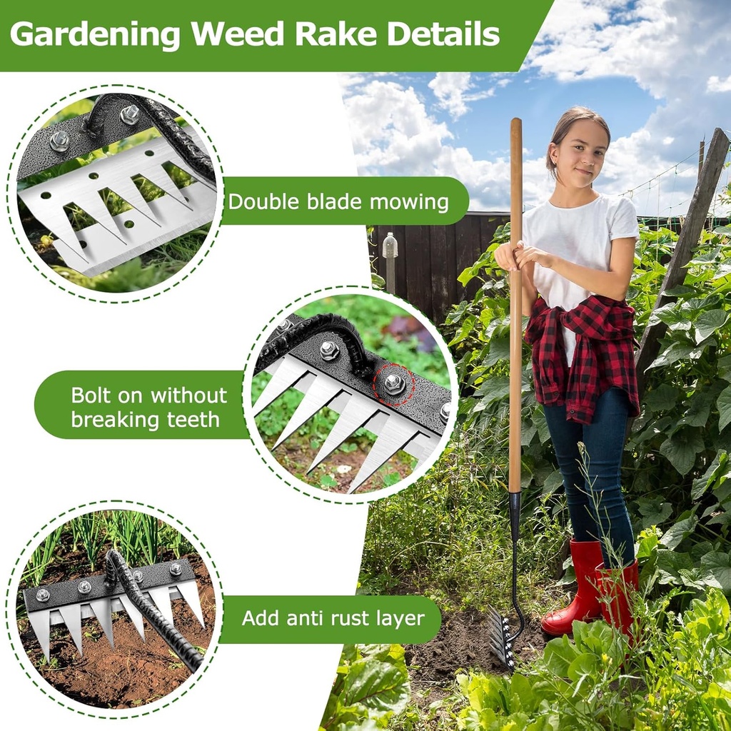 gardenia-iron-weeding-rake-20-iron-weedi-2.jpg
