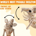 joyin-2-pcs-rats-skeleton-halloween-deco-6.jpg