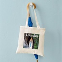 cafepress-virgin-mary-lourdes-1-tote-bag-6.jpg