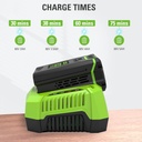 greenworks-pro-80v-lithium-ion-single-po-4.jpg