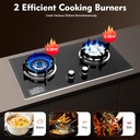 natural-gas-stove-2-burner-gas-stove-63--2.jpg