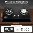 natural-gas-stove-2-burner-gas-stove-63--6.jpg