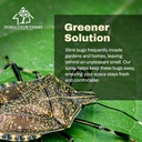 stink-bug-spray---naturally-eliminate-st-5.jpg