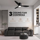 ceiling-fans-with-lights42-inch-low-prof-2.jpg