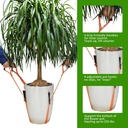 potted-plant-moverplant-lifting-straps-f-2.jpg