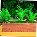 binaryabc-wooden-rectangle-planter-boxwi-4.jpg