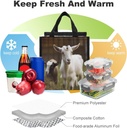 reusable-insulated-lunch-bag-box-9l-leak-4.jpg