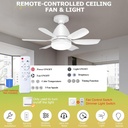 socket-fan-light-ceiling-fans-with-light-6.jpg