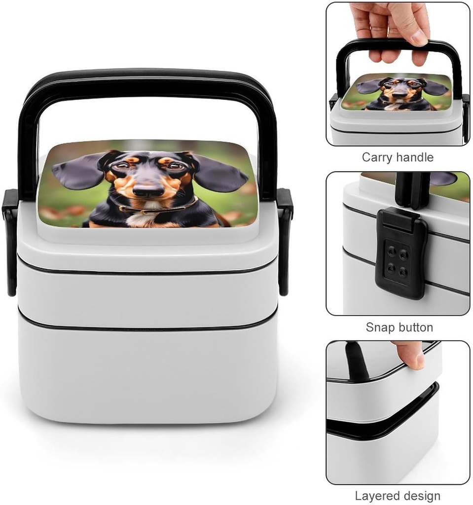 dachshund-weiner-pet-dogs-bento-box-doub-4.jpg