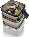 dachshund-weiner-pet-dogs-bento-box-doub-5.jpg