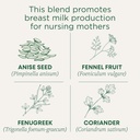 traditional-medicinals-organic-mothers-m-5.jpg