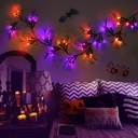 8-modes-timer-9-ft-66-led-halloween-will-4.jpg