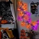 8-modes-timer-9-ft-66-led-halloween-will-5.jpg