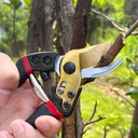 pruning-shears-for-gardening-ergonomic-g-5.jpg