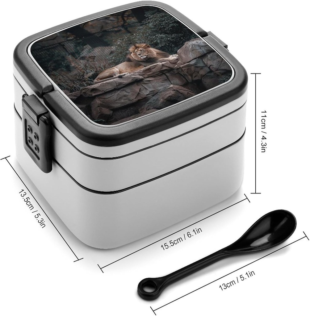 rest-on-rock-bento-box-adult-lunch-box-a-2.jpg