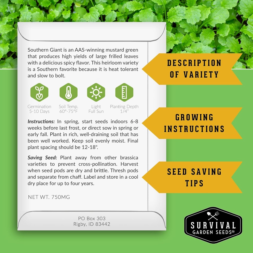 southern-giant-mustard-green-seeds-for-p-2.jpg