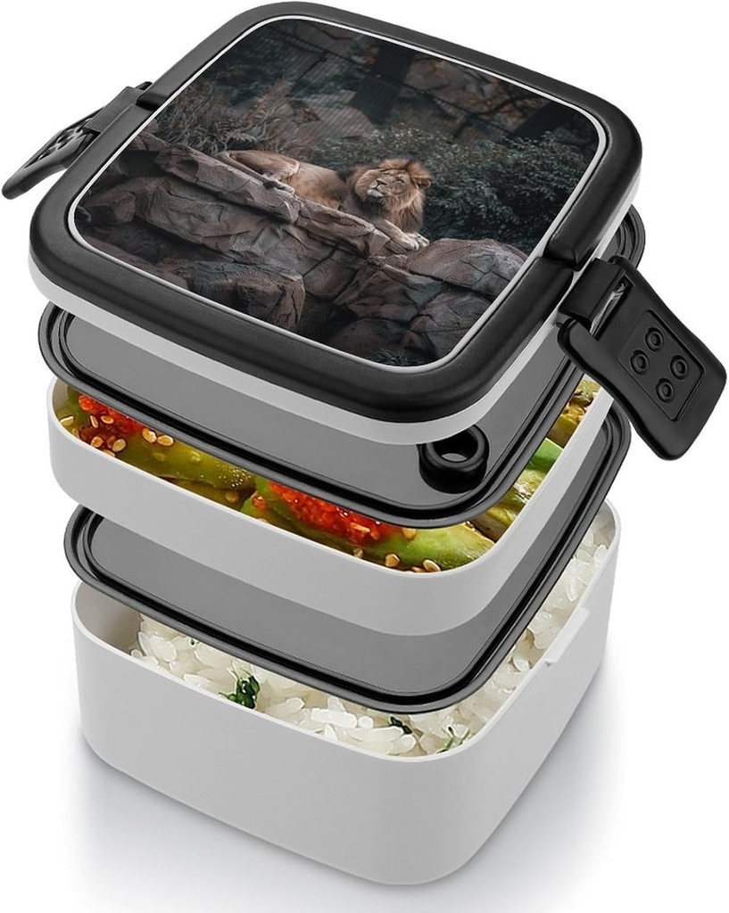 rest-on-rock-bento-box-adult-lunch-box-a-4.jpg