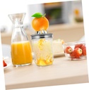 household-manual-citrus-juicer-squeezer--3.jpg