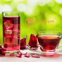 tealyte-50-tea-pods---compatible-with-ne-5.jpg
