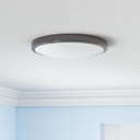 8-inch-led-ceiling-lights-round-ceiling--2.jpg