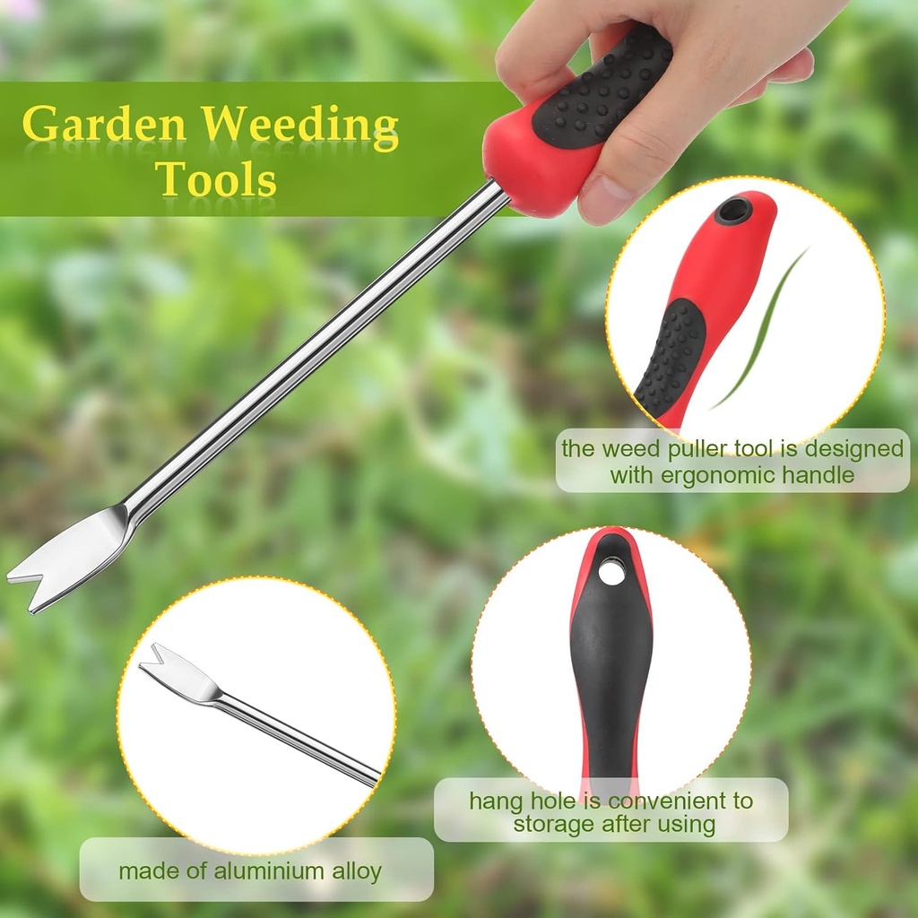 chengu-2-pack-dandelion-weeder-tool-with-2.jpg