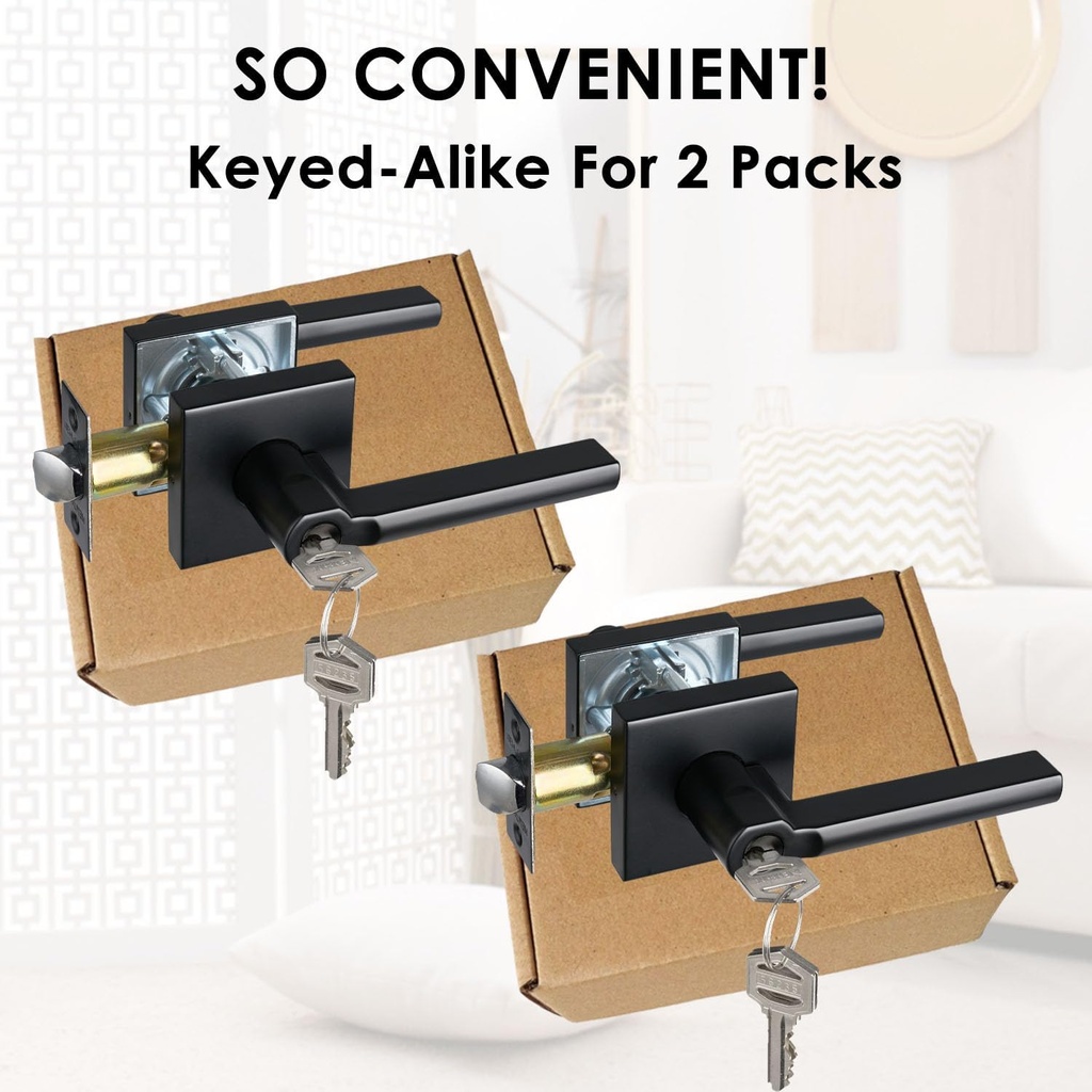 2-pack-keyed-alike-entry-door-lever-with-2.jpg