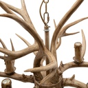 gerrit-antler-chandelier-e26-retro-count-6.jpg