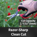 garden-scissors-65-razor-sharp-japanese--3.jpg
