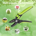 zhang-xiao-quan-since-1628-pruning-shear-5.jpg