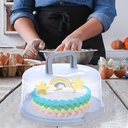 transparent-cake-carrier-food-containers-2.jpg