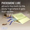 terro-pantry-moth-traps---attracts-and-t-3.jpg