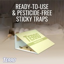 terro-pantry-moth-traps---attracts-and-t-4.jpg