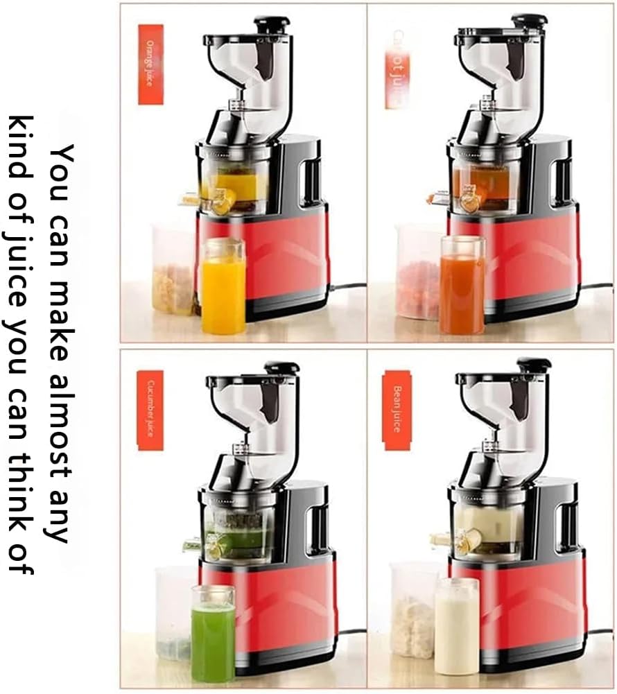 tsolay-commercial-electric-slow-juicer-s-2.jpg