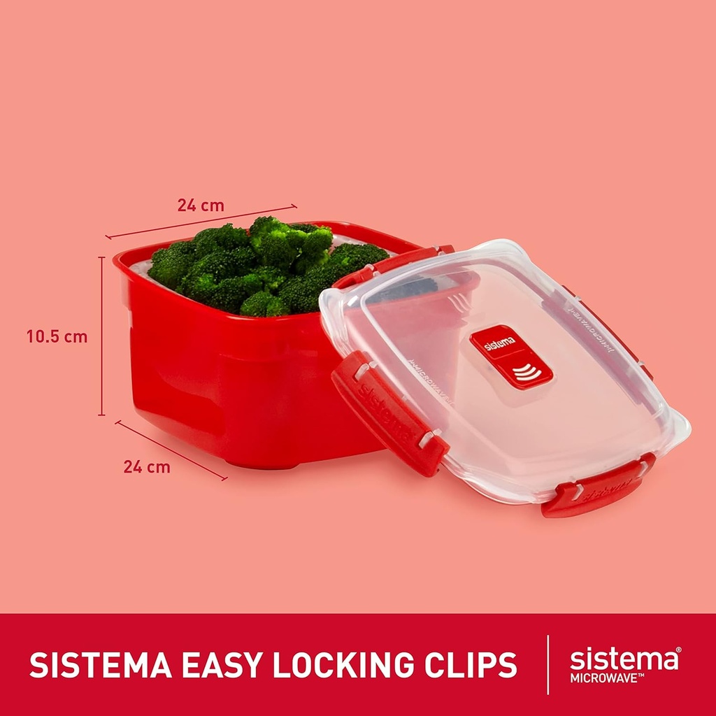 sistema-microwave-food-steamer-with-remo-3.jpg
