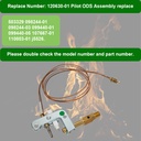120630-01-pilot-ods-burner-assembly-repl-4.jpg