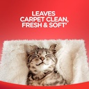 resolve-steam-carpet-cleaner-solution-sh-4.jpg