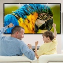 120-inch-projector-screen-169-foldable-a-6.jpg