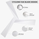 wingbo-52-dc-ceiling-fan-without-lights--5.jpg